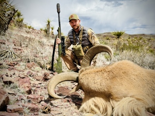Does Installing a Suppressor Affect Accuracy?