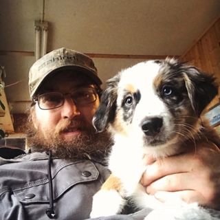 5 Reasons Homesteaders Fail