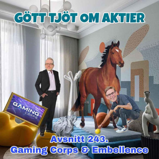 243. Gaming Corps & Embellence