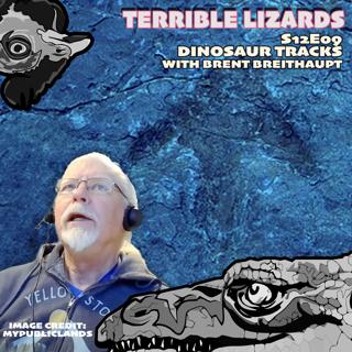 TLS12E09 Dinosaur Tracks and photogrammetry