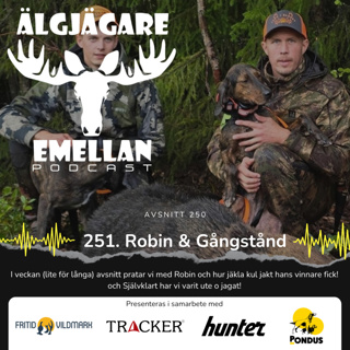 251. Robin & Gångstånd