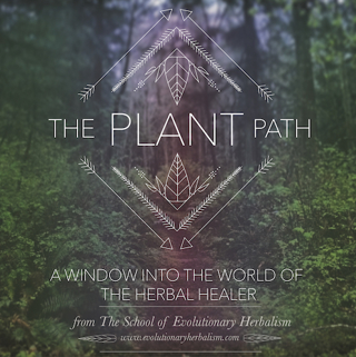 The Calling to the Plant Path