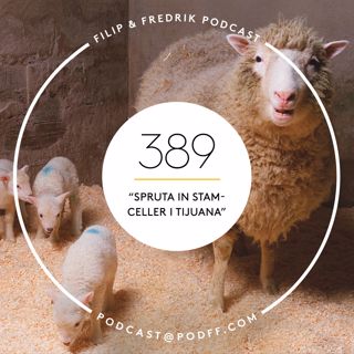 389. ”Spruta in stamceller i Tijuana”