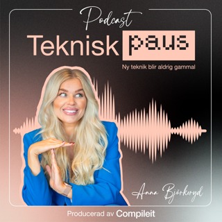 rss-teknisk-paus