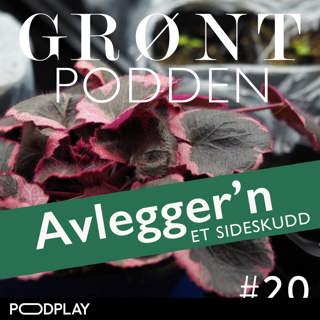 #20 Grøntpodden avlegger'n