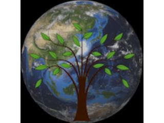Ascension & Astrology: Love and Relationships in a New Paradigm