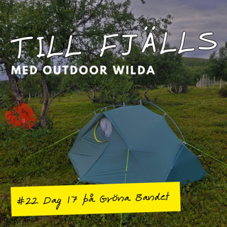 #22: Rörvattnet via Rötviken och Valsjöbyn till Vinklumpen, dag 17 på Gröna Bandet