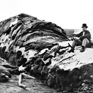 Charting the Etymology of the Frontier: Legends and Linguistics of Dodge City