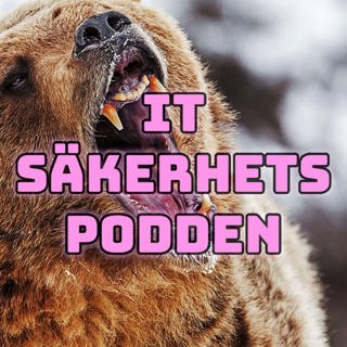 #110 - Det ryska cyberkriget