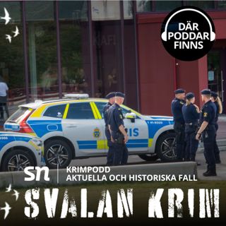 När våldet flyttar in i klassrummen