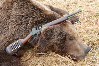 Best Bear-Stopping Guns