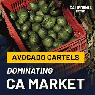 Why California Is Losing Its Avocado Industry