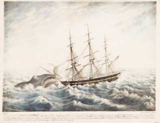 The Sinking of the Whaleship Essex