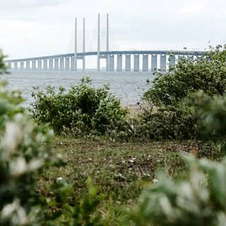 Naturens gång på konstgjorda ön Pepparholm – och ovanliga vedsvampar i Muddus