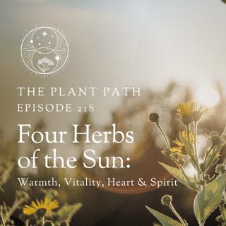 Four Herbs of the Sun: Warmth, Vitality, Heart & Spirit