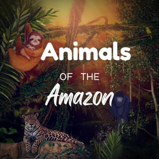 Animals of the Amazon