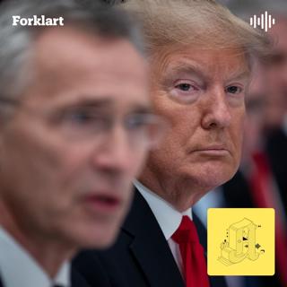Dette betyr USA-tollen for deg: Lavere rente?