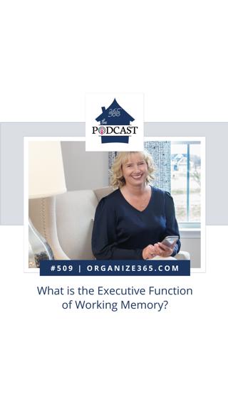 509 - What is the Executive Function of Working Memory?