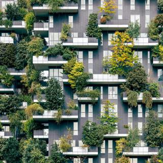 How to make buildings without harming the Earth
