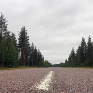 Polisen: Vi kanske inte mäktar med