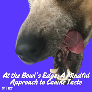 S1 E21 At the Bowl’s Edge: A Mindful Approach to Canine Taste