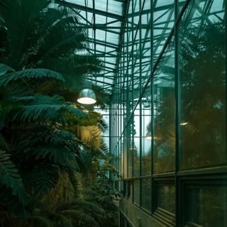 Greenhouse Rain - 10 Hours Sleep Sound
