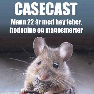 Case - Ung mann med influensasymptomer