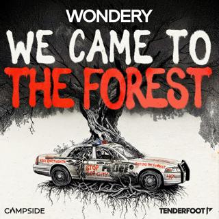 Introducing: We Came to the Forest