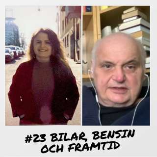 23. Bilar, bensin & framtid
