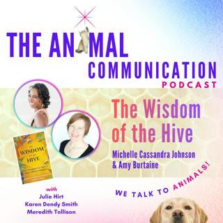 The Wisdom of the Hive with Michelle Cassandra Johnson and Amy Burtaine
