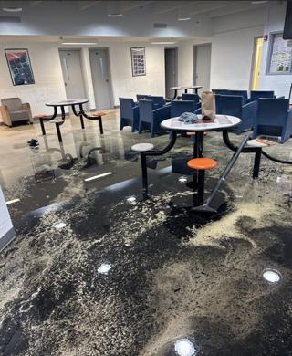 SuperClean Restoration Reaches 100 Five-Star Google Reviews, Reinforcing Its Status as the Best Water Damage Restoration Company in West Palm Beach, Florida