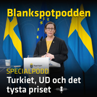 Turkiet, UD och det tysta priset