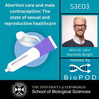 Abortion care and male contraception: The state of sexual and reproductive healthcare