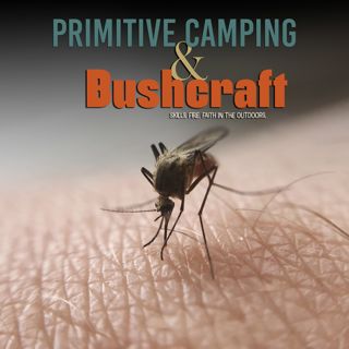 Mosquito Control: What Actually Works?