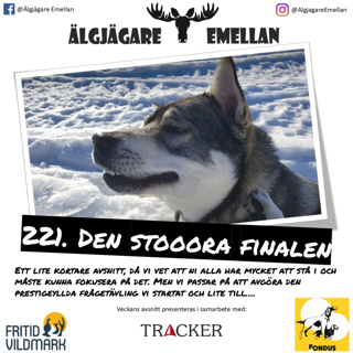 221. Den stooora finalen!!!