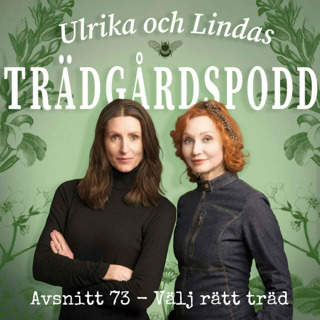 Avsnitt 73 - Välj rätt träd
