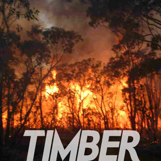 Timber 11-17-10 Show #42