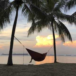 Coronapass och flygresor – hör experterna om reseläget inför sommaren