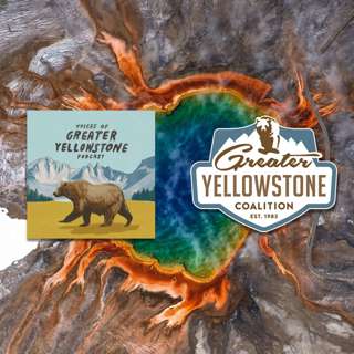 Thermophiles: Life in Yellowstone's Geothermal Features (Part 1)