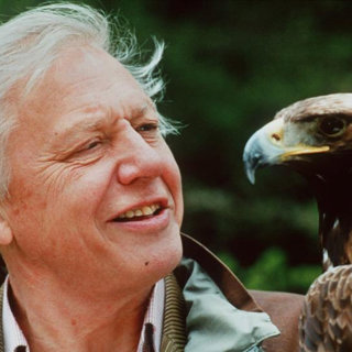 David Attenborough fylder 100: Han er naturens stemme i en krisetid