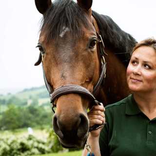 Horsemanship med Lisbeth Börjesson Johnsson