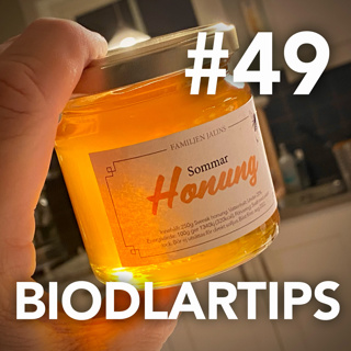 49. Den söta bluffen