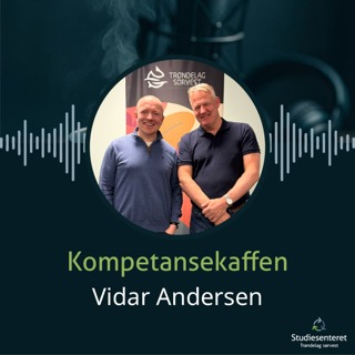 Vidar Andersen - Senior bedriftsrådgiver i Avantas