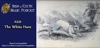 #221: The White Hare