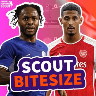 FPL SUMMER: Meet the Manager #3