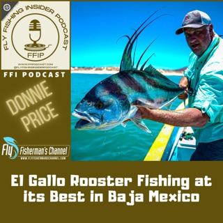 El Gallo Rooster Fishing at its Best in Baja Mexico