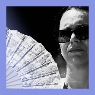 Taking the shine off: albedo and global temperatures