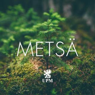 rss-metsa