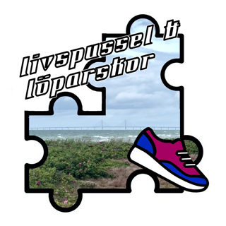 Avsnitt 38 - Inför Broloppet 2025
