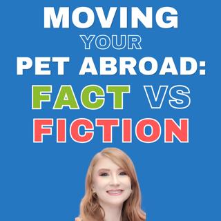 The Truth About Flying Your Pet Abroad: Busting Common Pet Relocation Myths